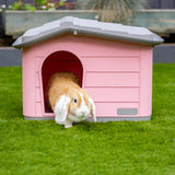 Knock-Down Pet House