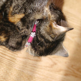 Cat Collar Damson