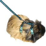 Paw Print Harness & Lead Small