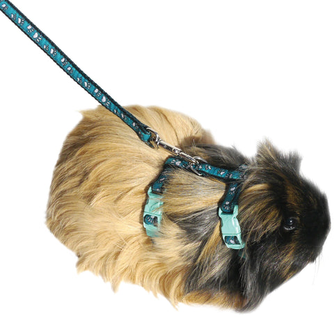 Paw Print Harness & Lead Small