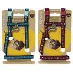 Paw Print Harness & Lead Small