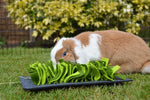 Rosewood Snuffle Forage Mat