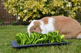 Rosewood Snuffle Forage Mat