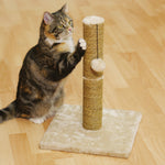 Turin Cat Scratcher