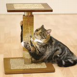 Oregano Cat Scratcher