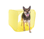 Outward Hound Zip & Zoom Indoor Agility Kit