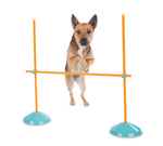 Outward Hound Zip & Zoom Indoor Agility Kit