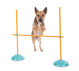 Outward Hound Zip & Zoom Indoor Agility Kit