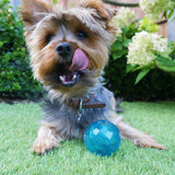 BioSafe™ Puppy Treat Ball