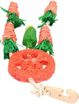 Carrot Dream Catcher