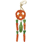 Carrot Dream Catcher