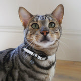 Cat Collar Silver