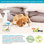 EcoPro Stain & Odour Eliminator