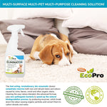 EcoPro Stain & Odour Eliminator Bulk Deal (6x500ml)