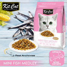 Mini Fish Medley