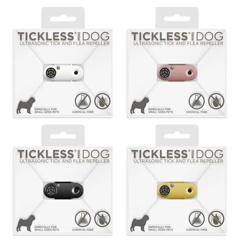 Tickless Mini Dog