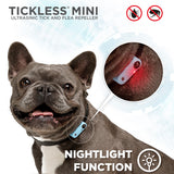 Tickless Mini Dog