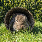 Sea Grass Tunnel