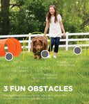 Zip & Zoom Outdoor Dog Agility Kit