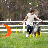 Zip & Zoom Outdoor Dog Agility Kit