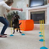 Outward Hound Zip & Zoom Indoor Agility Kit