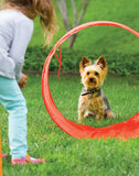 Zip & Zoom Outdoor Dog Agility Kit